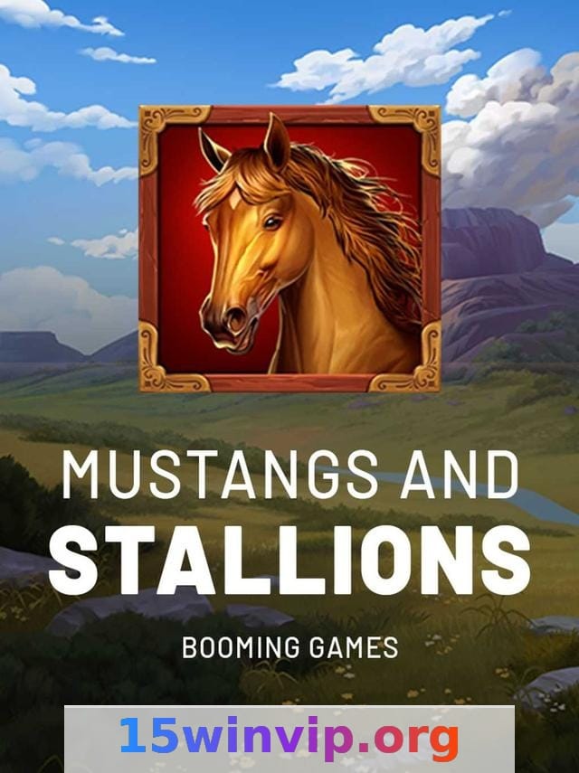 15win - WhatsApp: Guia Completo para Usuários 3 Imagem ilustrativa